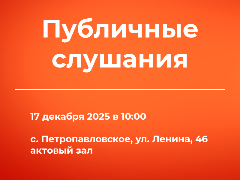Публичные слушания 17.12.2025.